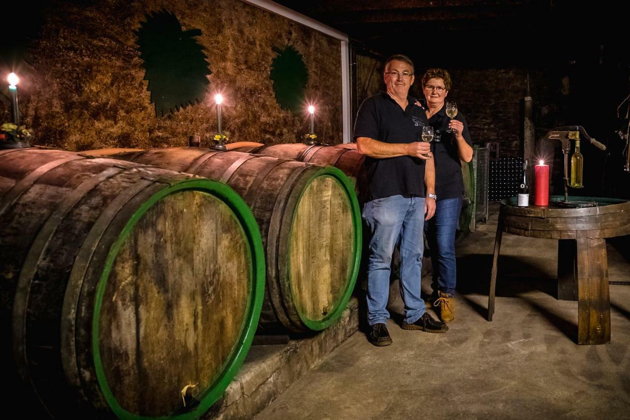 Ferienweingut Goebel Villa Traben-Trarbach Kültér fotó
